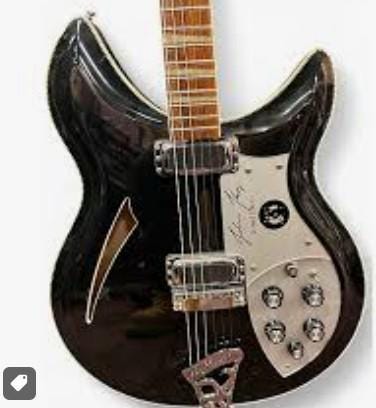 Rickenbacker 381 Pickguard Made To Order