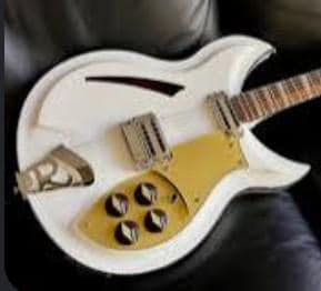 Rickenbacker 381 Pickguard Made To Order