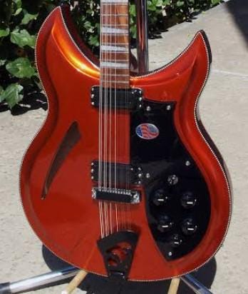 Rickenbacker 381 Pickguard Made To Order