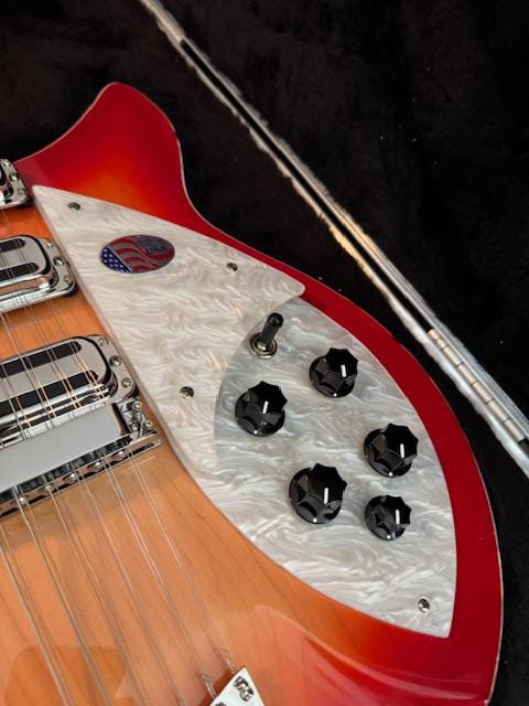 Rickenbacker 330 & 360 (24-Fret Models, 1990 - 2022) Made-to-Order Custom Acrylic Pickguards