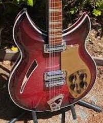 Rickenbacker 381 Pickguard Made To Order