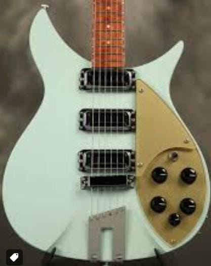 Rickenbacker 350v63 Pickguard Made To Order